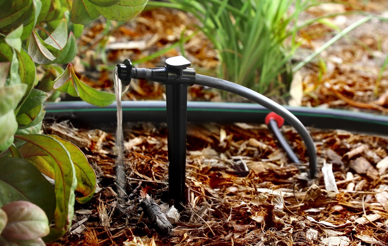 Rain Bird SW20-30PS Drip Irrigation Spot Watering Dripper/Emitter, 2 Gallon Per Hour, 30-Pack - Image 5