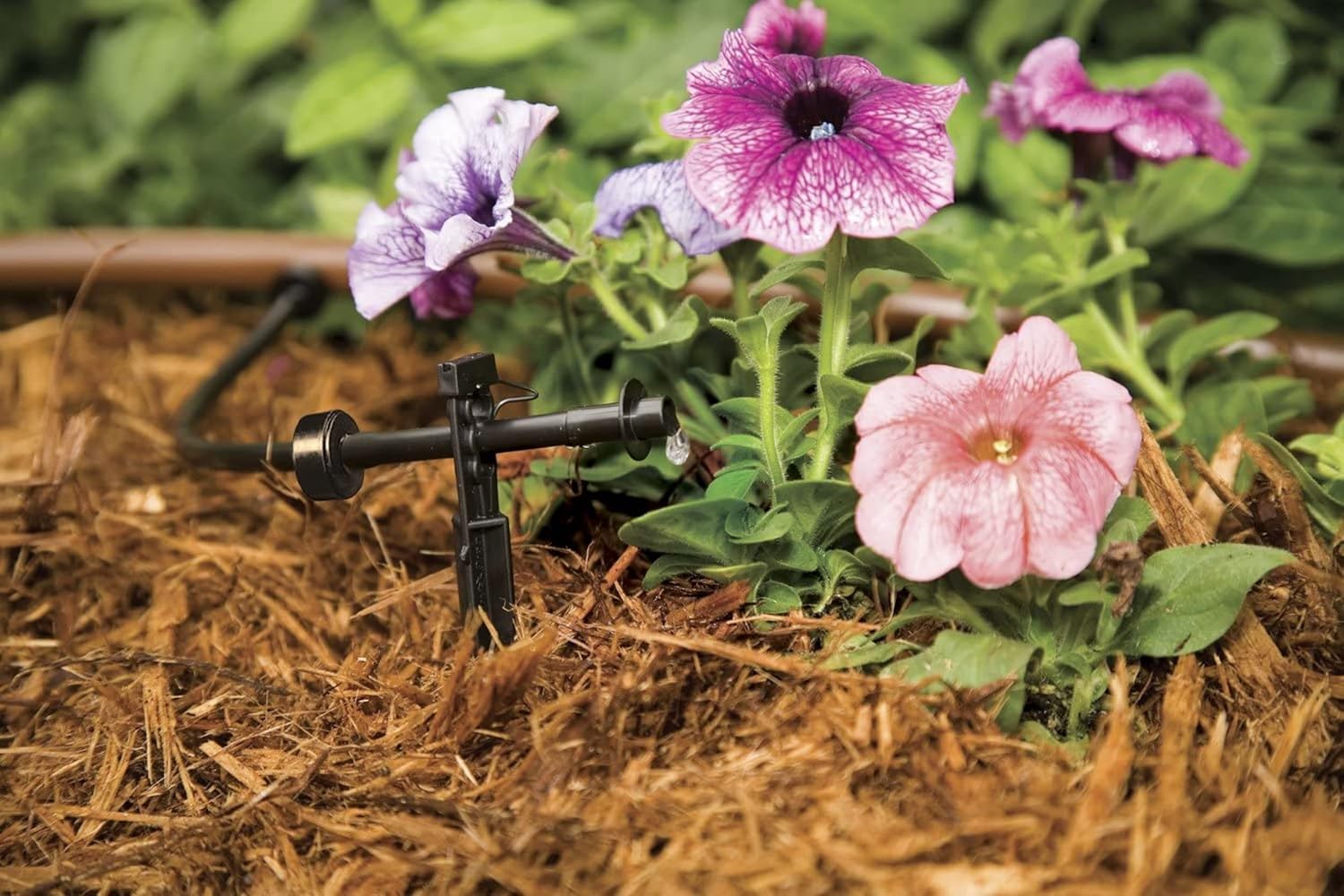 Rain Bird SW10-30PS Drip Irrigation Spot Watering Dripper/Emitter, 1 Gallon Per Hour, 30-Pack - Image 4