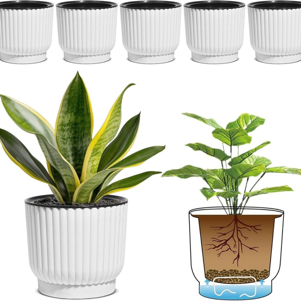 T4U Self Watering Pots for Indoor Plants, 6 Inch 6 Pack Planter White | African violet pothos ferns, Herb garden kitchen, Bottom feed reservoir, Easy care maintenance