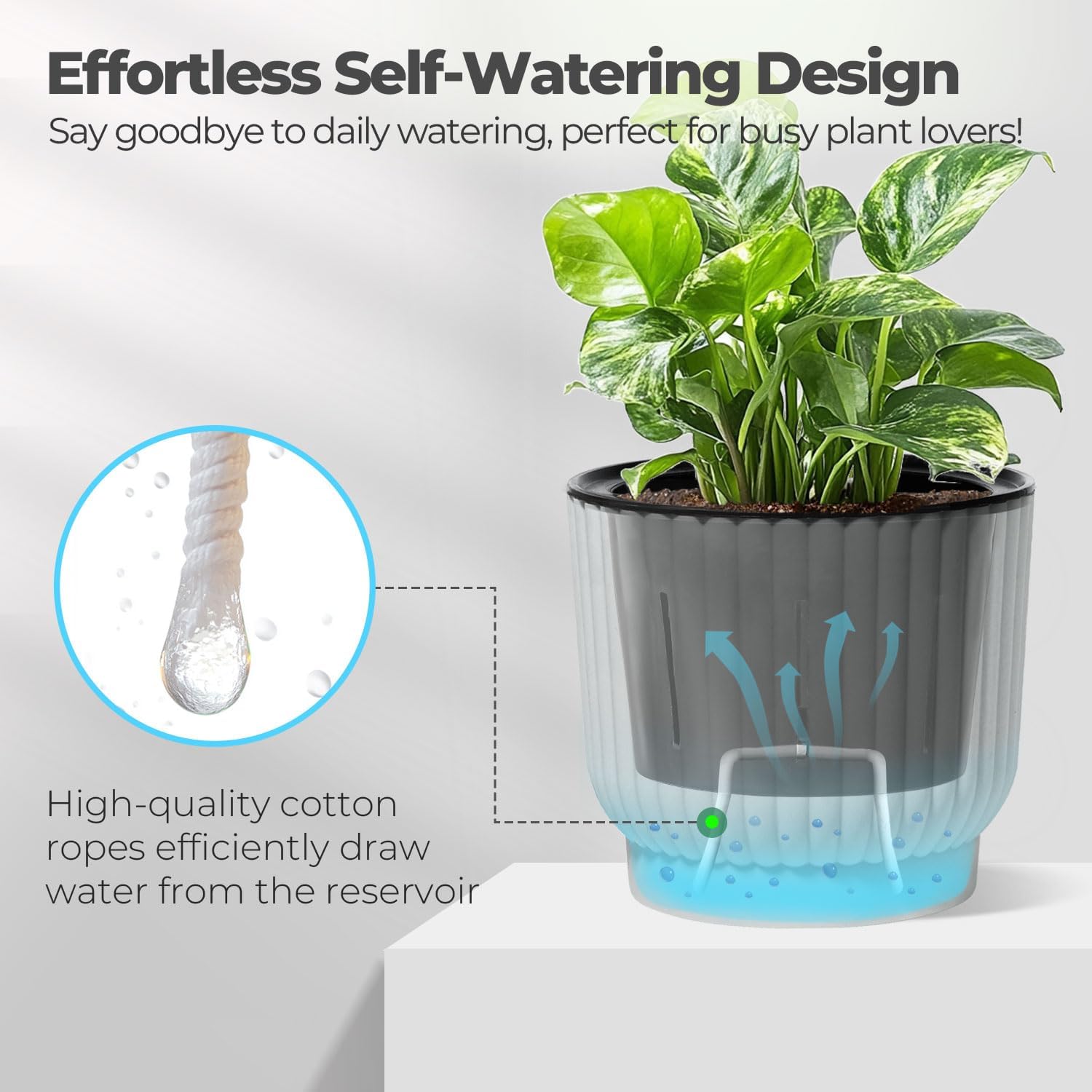 T4U Self Watering Pots for Indoor Plants, 6 Inch 6 Pack Planter White | African violet pothos ferns, Herb garden kitchen, Bottom feed reservoir, Easy care maintenance - Image 3