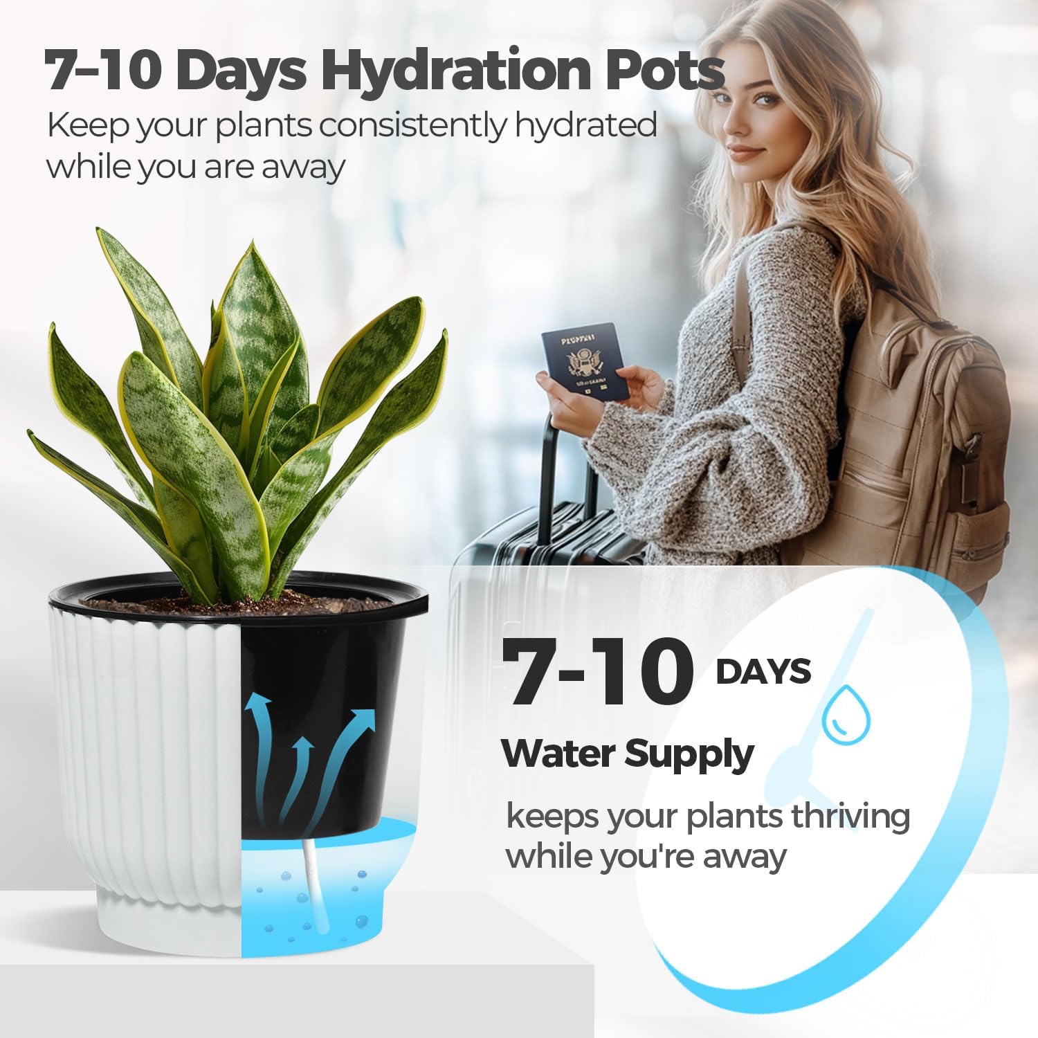 T4U Self Watering Pots for Indoor Plants, 6 Inch 6 Pack Planter White | African violet pothos ferns, Herb garden kitchen, Bottom feed reservoir, Easy care maintenance - Image 4