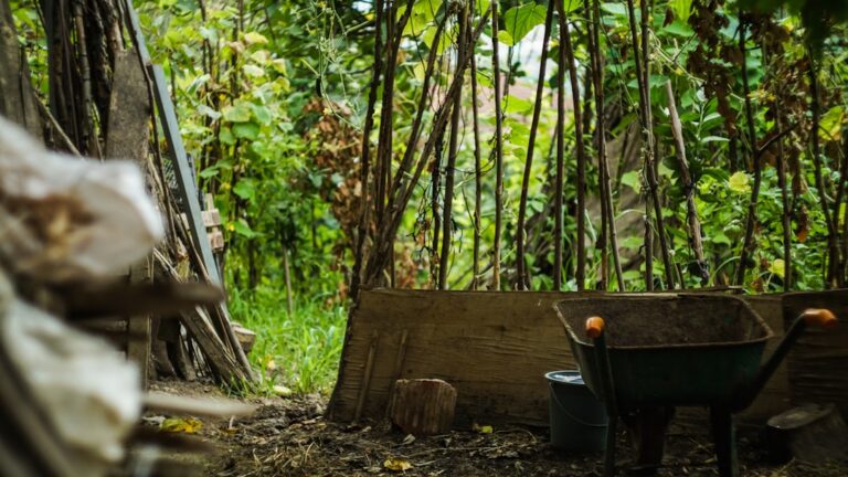 The Ultimate Guide to Sustainable Gardening Gear and Accessories