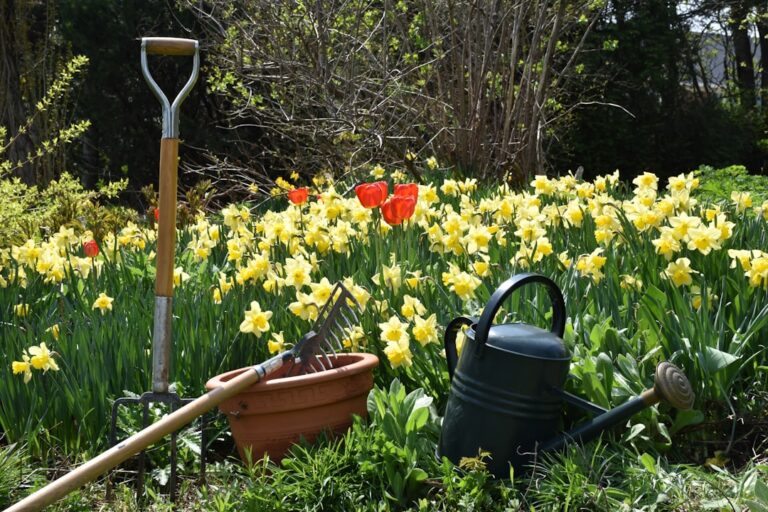 Gardening Made Easy: Essential Gear for New Gardeners