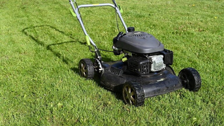 Tips for Maintaining Your Gardening Tools and Gear Effectively